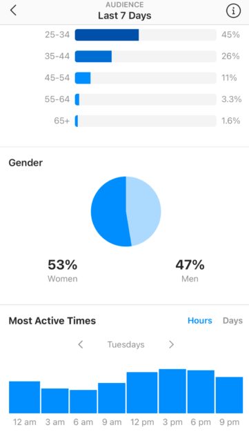 imagen 6 361x629 1 estadísticas de audiencia instagram