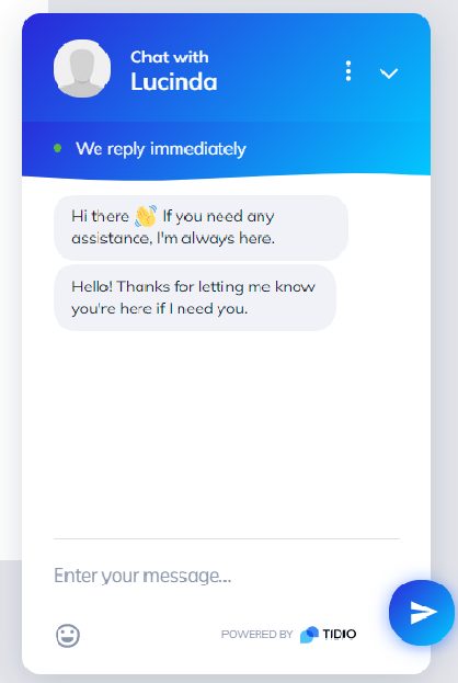 Tidio chat window Tidio Live Chat Example